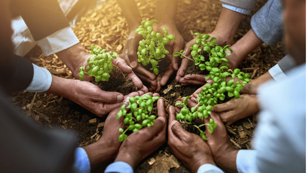 أحمد تاج الدين عن الحاضنات الريادية