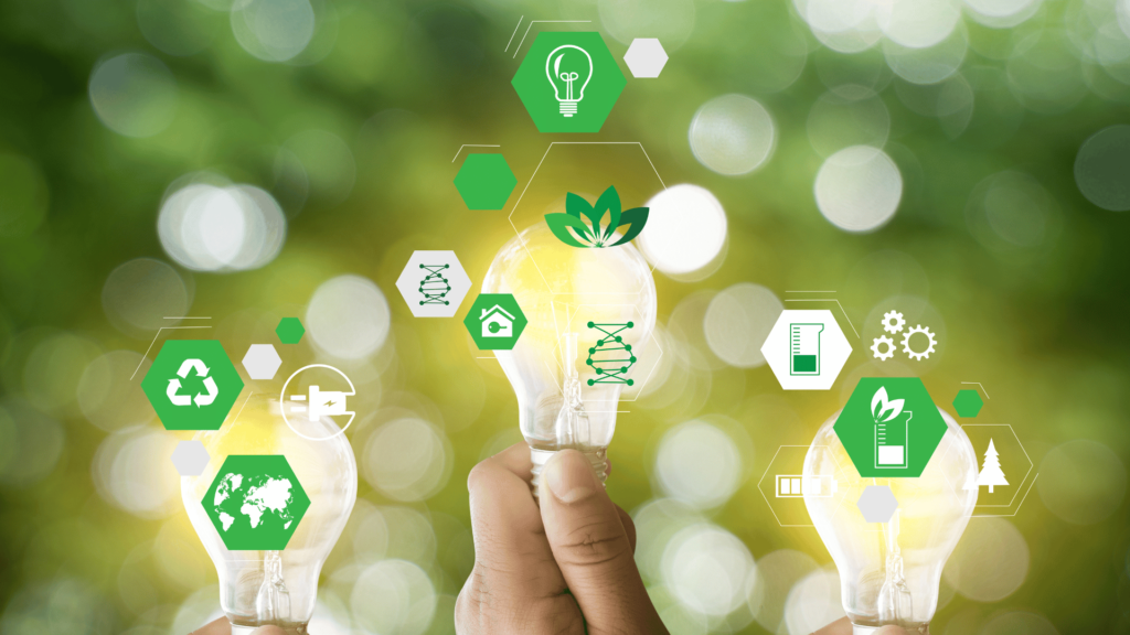 صهيب باسط عن الحاضنات الريادية