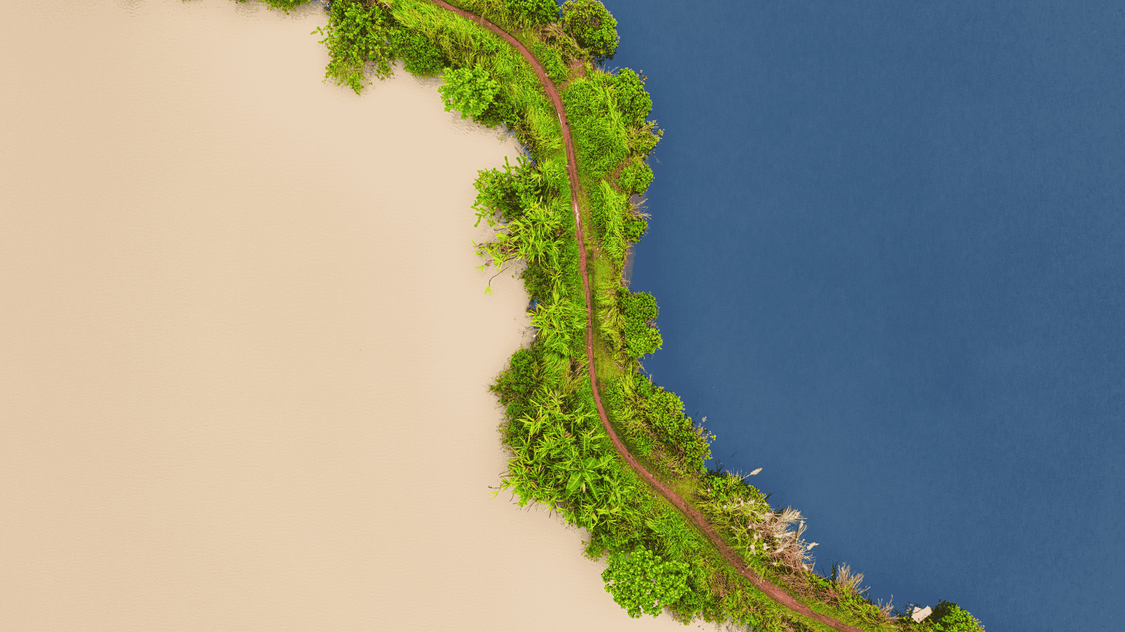 مقياس جاذبية العلامة التنموية